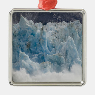 USA, Alaska, Tongass National Forest, Tracy Silbernes Ornament