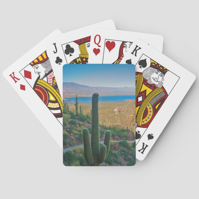 USA, Arizona. Aussicht vom Eingang zum Tonto Spielkarten (Rückseite)