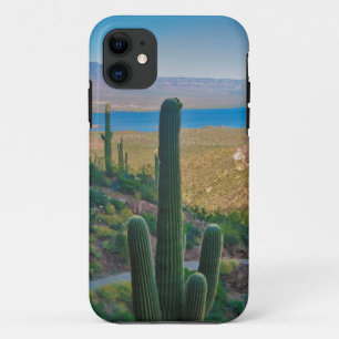 USA, Arizona. Blick vom Eingang zum Tonto Case-Mate iPhone Hülle