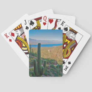 USA, Arizona. Blick vom Eingang zum Tonto Spielkarten