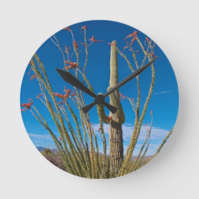 USA, Arizona. Cactus In Saguaro National Park Runde Wanduhr (Vorderseite)