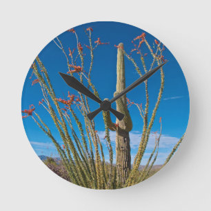 USA, Arizona. Cactus in Saguaro Runde Wanduhr