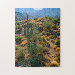 USA, Arizona. Desert View