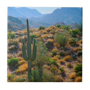 USA, Arizona. Desert View Fliese