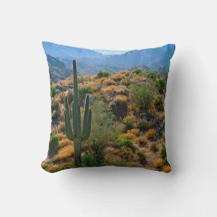 USA, Arizona. Desert View Kissen