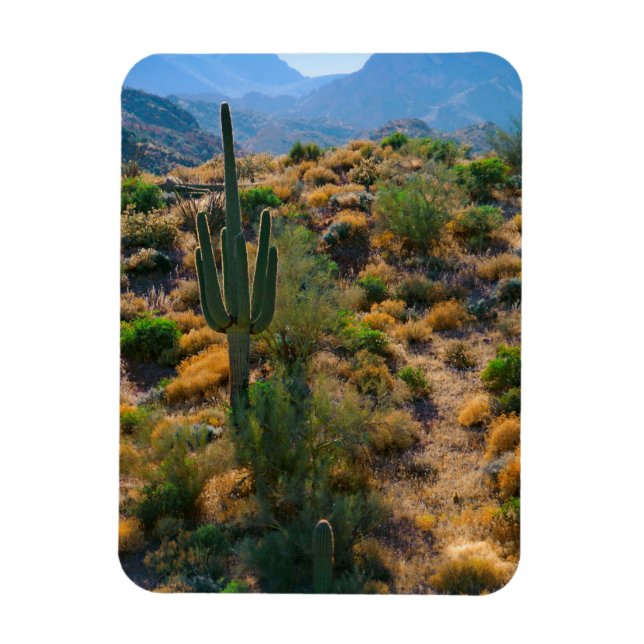 USA, Arizona. Desert View Magnet (Vertikal)