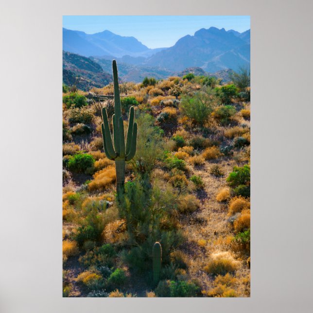 USA, Arizona. Desert View Poster (Vorne)