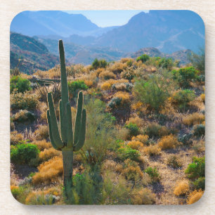 USA, Arizona. Desert View Untersetzer