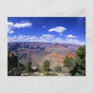 USA, Arizona, Grand Canyon National Park, South Postkarte