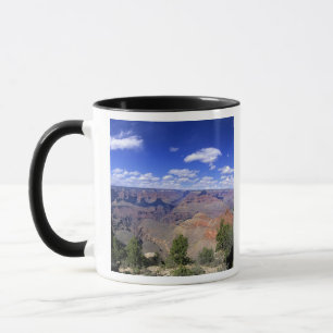 USA, Arizona, Grand Canyon National Park, Süd Tasse