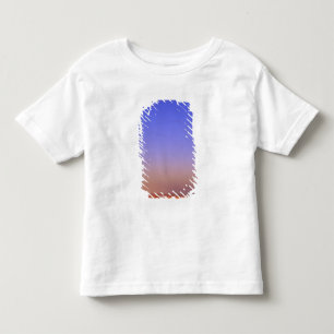 USA, Arizona, Grand Canyon NP. Mond im Himmel Kleinkind T-shirt