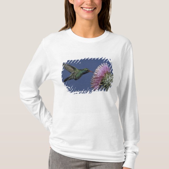 USA, Arizona. großflächig T-Shirt (Vorderseite)