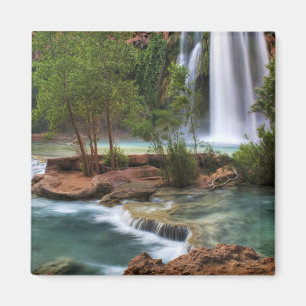USA, Arizona, Havasu Canyon. Die friedlichen Magnet