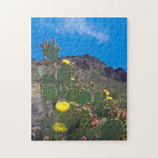 USA, Arizona. Kakteen (Vertikal)