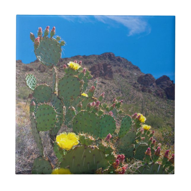 USA, Arizona. Kakteen Fliese (Vorderseite)