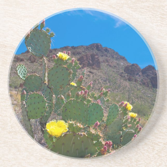 USA, Arizona. Kakteen Getränkeuntersetzer (Vorne)