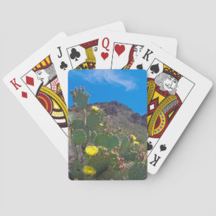USA, Arizona. Kakteen Spielkarten