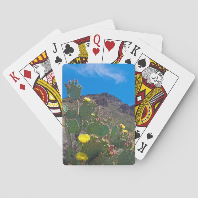 USA, Arizona. Kakteen Spielkarten (Rückseite)