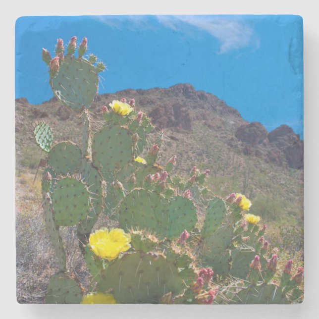 USA, Arizona. Kakteen Steinuntersetzer (Vorderseite)
