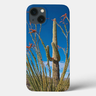 USA, Arizona. Kaktus im Saguaro-Nationalpark Case-Mate iPhone Hülle