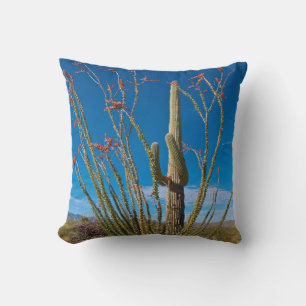 USA, Arizona. Kaktus im Saguaro-Nationalpark Kissen