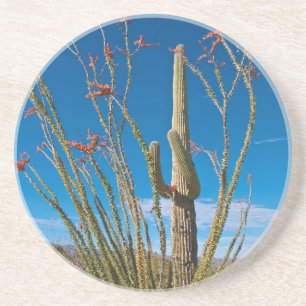 USA, Arizona. Kaktus im Saguaro-Nationalpark Sandstein Untersetzer