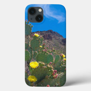 USA, Arizona. Kaktus in den Hügeln iPhone 13 Hülle