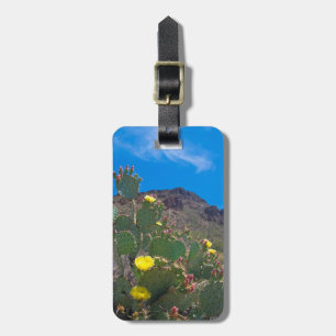 USA, Arizona. Kaktus in den Hügeln Gepäckanhänger