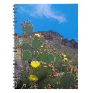 USA, Arizona. Kaktus in den Hügeln Notizblock
