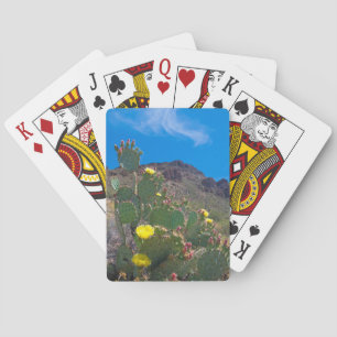 USA, Arizona. Kaktus in den Hügeln Spielkarten