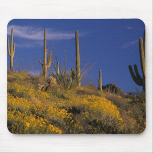 USA, Arizona, Organ Pipe Cactus National 2 Mousepad