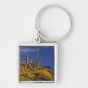 USA, Arizona, Organ Pipe Cactus National 2 Schlüsselanhänger