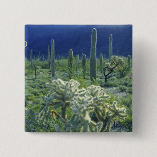 USA, Arizona, Organ Pipe Cactus National Button