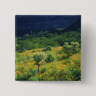 USA, Arizona, Organ Pipe Cactus National Button