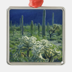 USA, Arizona, Organ Pipe Cactus National Silbernes Ornament