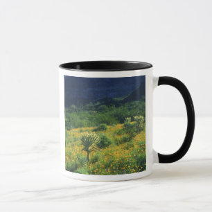 USA, Arizona, Organ Pipe Cactus National Tasse