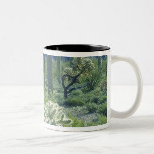 USA, Arizona, Organ Pipe Kaktus National Zweifarbige Tasse