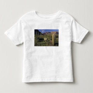 USA, Arizona, Organ Pipe National Monument. Kleinkind T-shirt