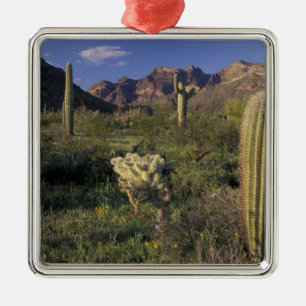 USA, Arizona, Organ Pipe National Monument. Ornament Aus Metall