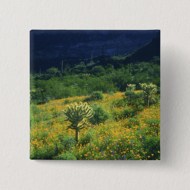 USA, Arizona, Orgelpipe Cactus National Button (Vorderseite)