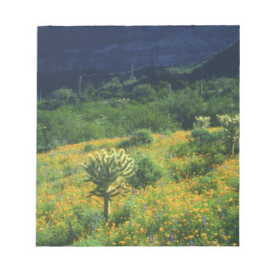 USA, Arizona, Orgelpipe Cactus National Notizblock