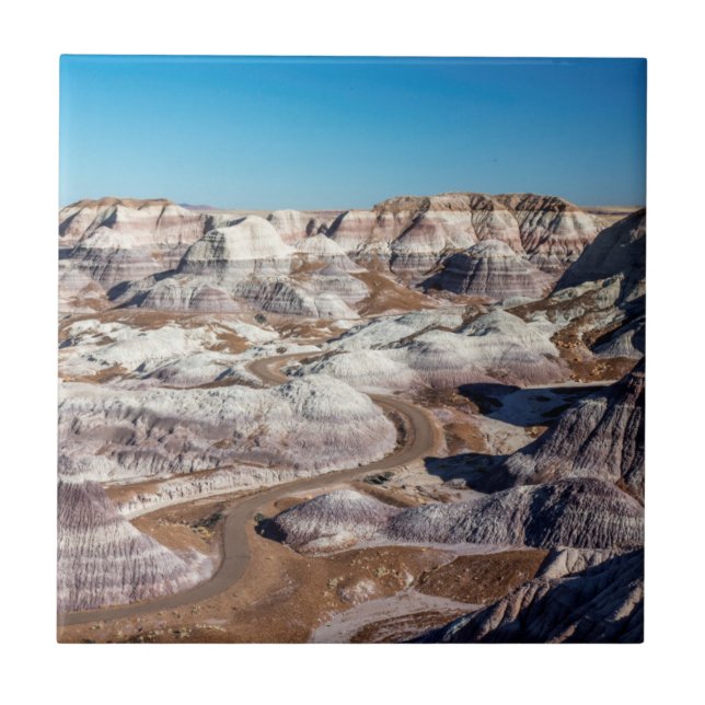 USA, Arizona, Petrified Forest National Park Fliese (Vorderseite)