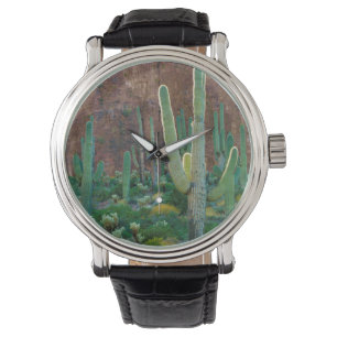USA, Arizona. Saguaro-Kakteenfeld an einer Klippe Armbanduhr