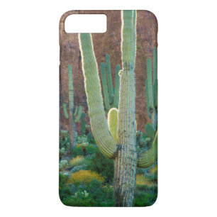 USA, Arizona. Saguaro-Kaktusfeld an einer Klippe title_seo2