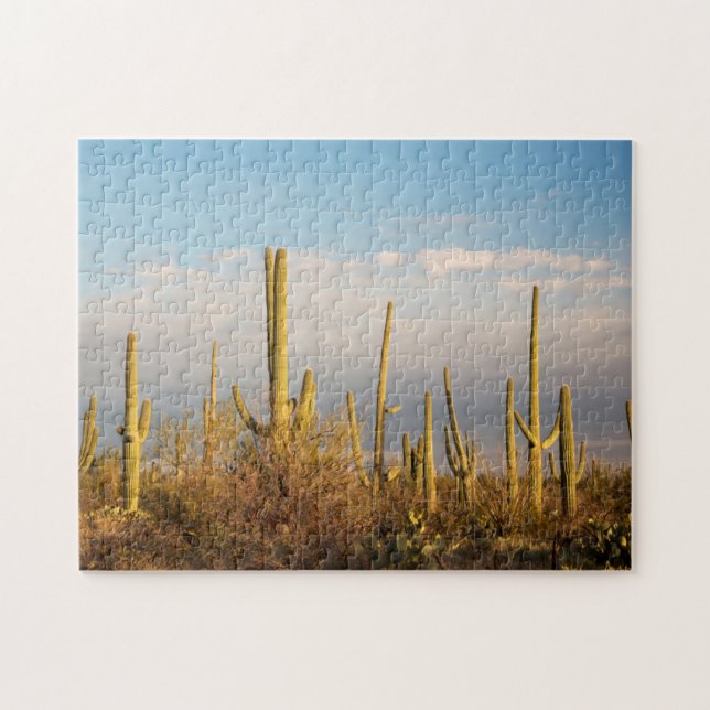 USA, Arizona, Saguaro National Park, Saguaro (Horizontal)