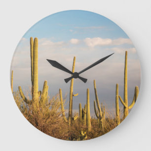 USA, Arizona, Saguaro National Park, Saguaro Große Wanduhr