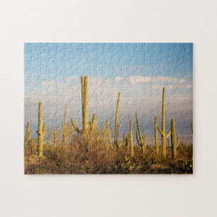 USA, Arizona, Saguaro-Nationalpark, Saguaro