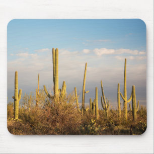 USA, Arizona, Saguaro-Nationalpark, Saguaro Mousepad