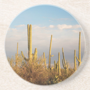 USA, Arizona, Saguaro-Nationalpark, Saguaro Sandstein Untersetzer