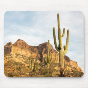 USA, Arizona, Tonto National Forest, Picketpost 2 Mousepad